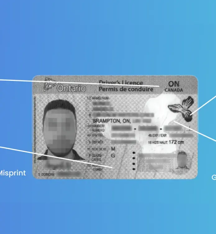 ID showing forensic details Fake ID Detection